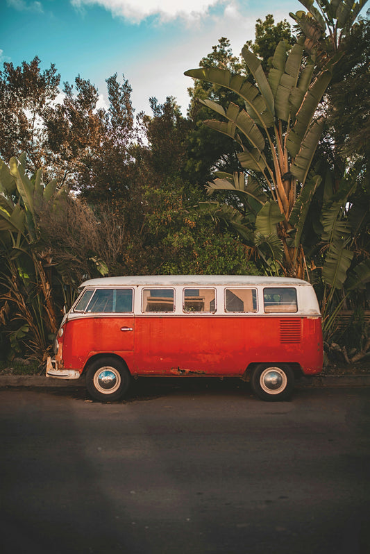 Mahoya Vibes : Une aventure, une inspiration 🌊