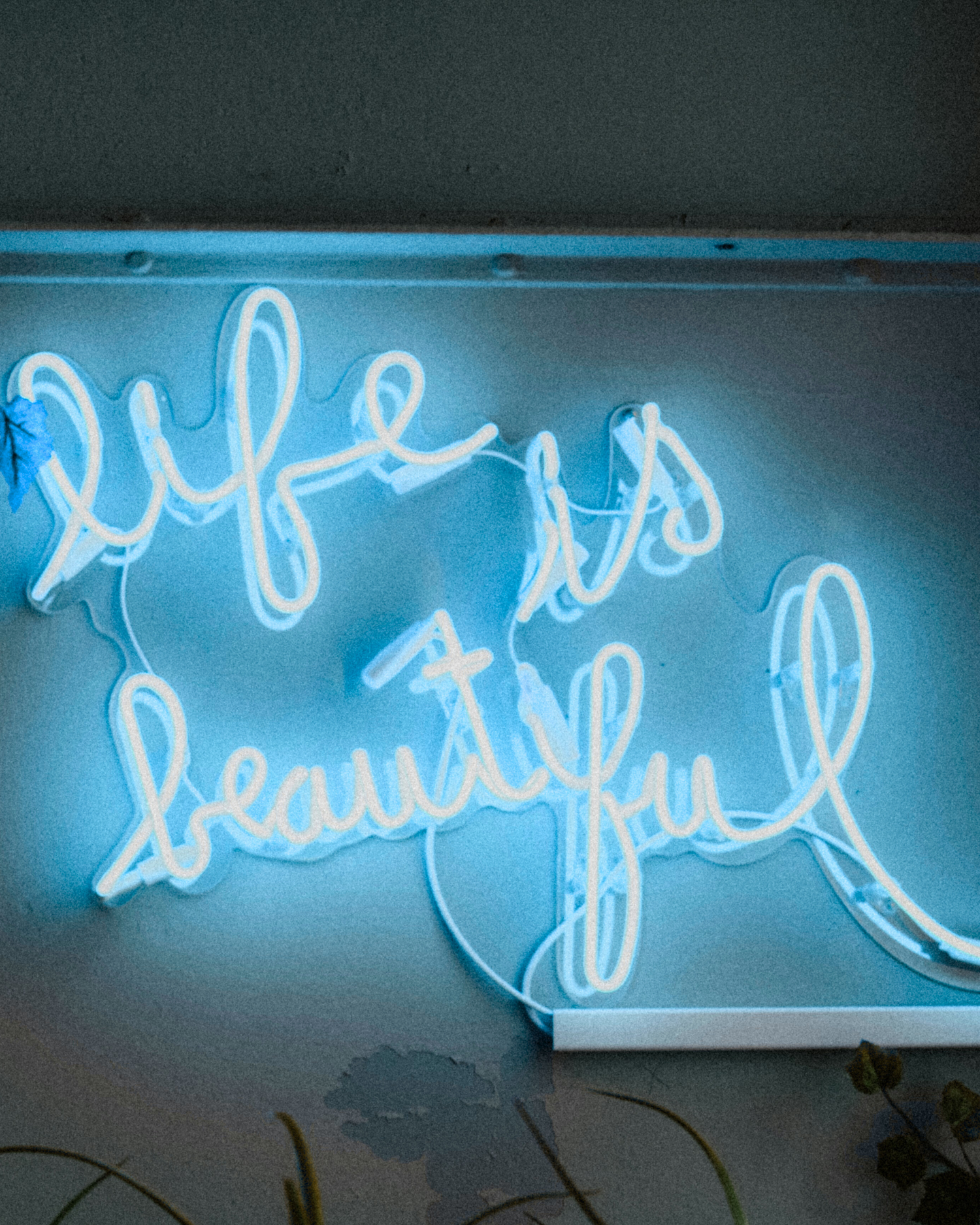 Drop 01 - Part 2 "Life is Beautiful"